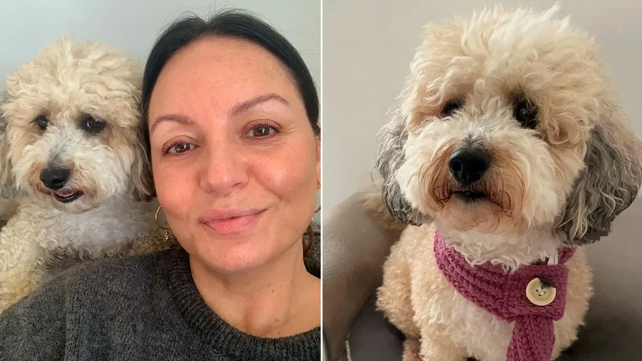 Dog's breast cancer mirrors owner's battle as both beat the disease