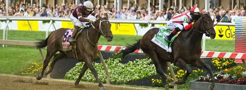 Preakness Day Handicapping: Experts Reveal Top Picks for Laurel Park's Eight Stakes