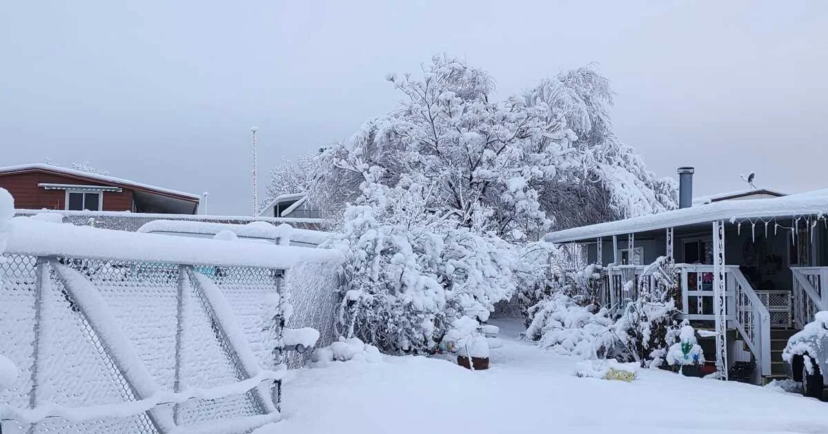 Utah Braces for Massive Winter Storm with Up to 5 Feet of Snow Forecasted.