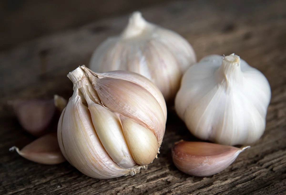 Garlic Suppresses Reproduction in Flies, Hinting at Vector Control