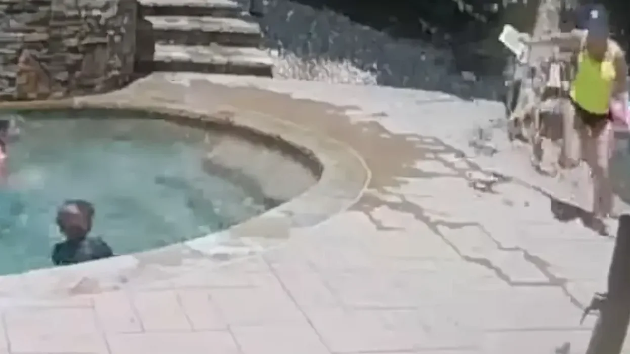 Split-second warning from son saves mom as tree collapses near pool