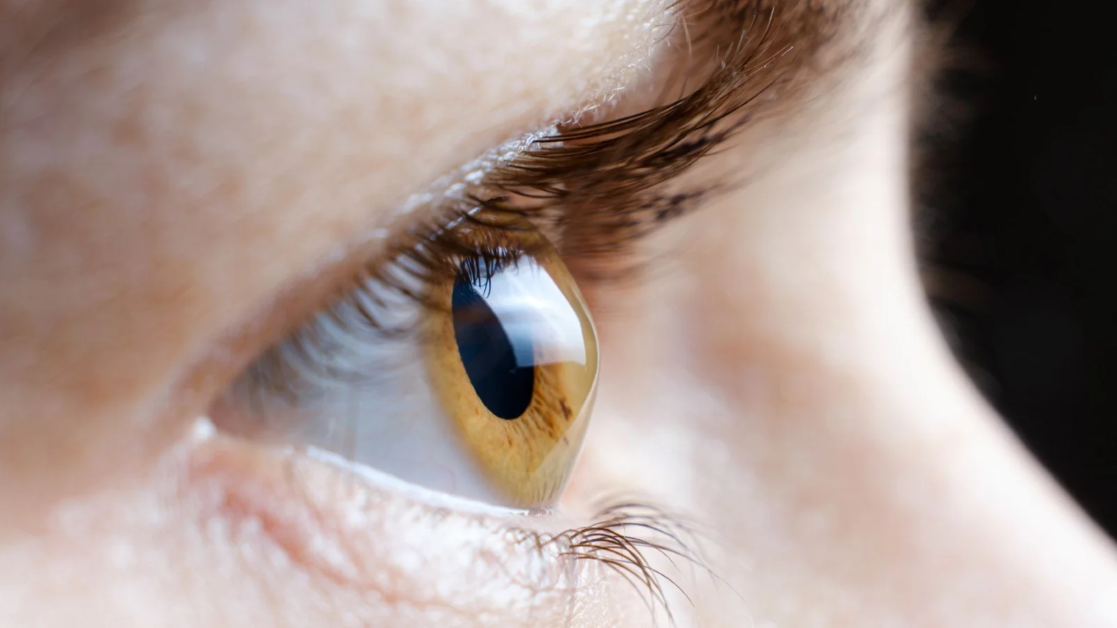Eye-stroke signals surface with Wegovy, but the risk remains very low and unproven