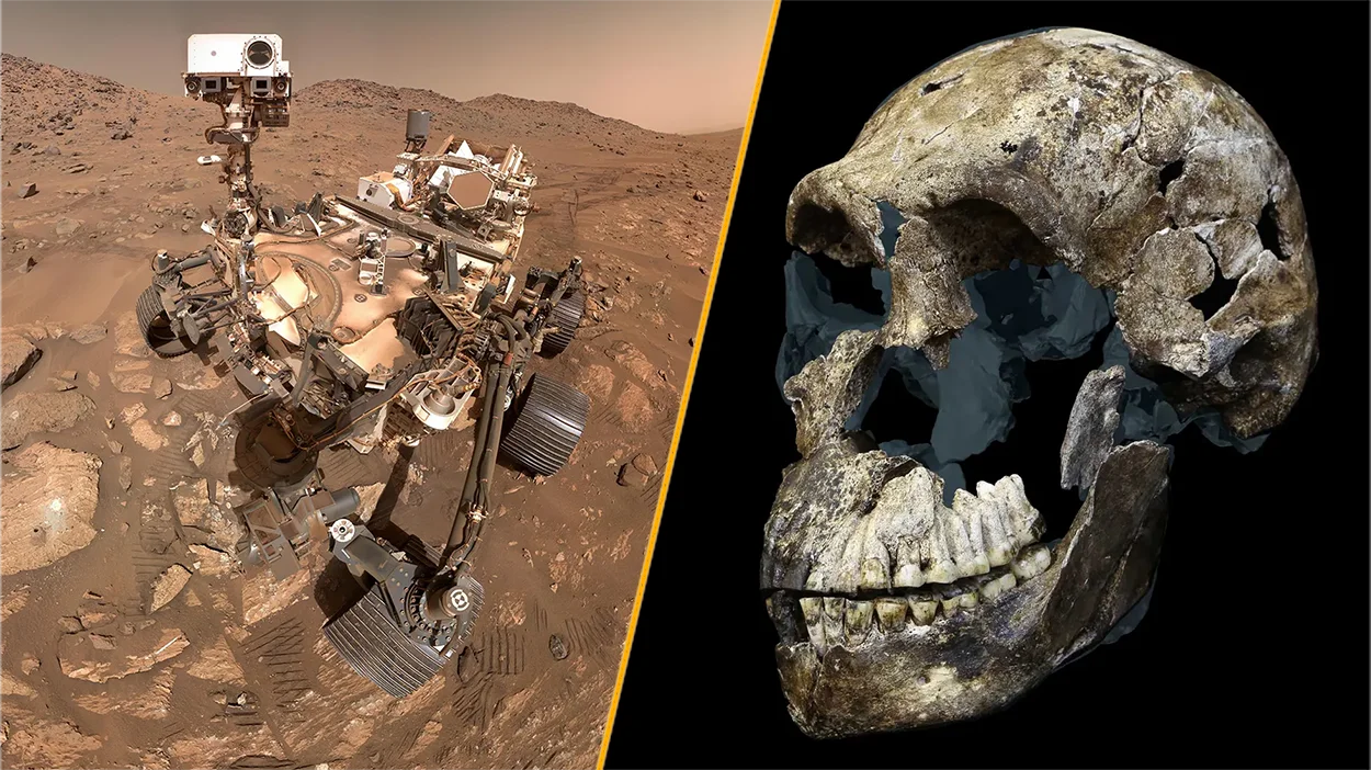 Martian organics, two-liquid water and all-female Homo naledi headline this week’s science news