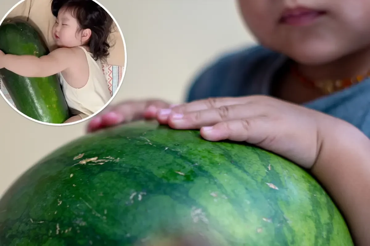 China's Summer Trend: Babies Hug Giant Winter Melons to Stay Cool