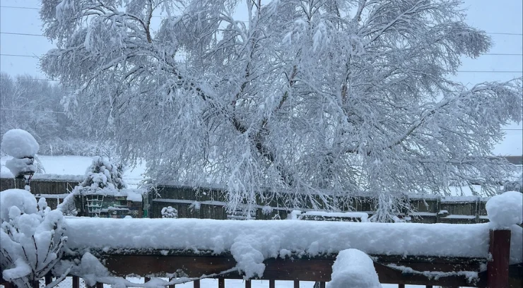 "Kansas City Snow Update: Latest Reports and Forecast"