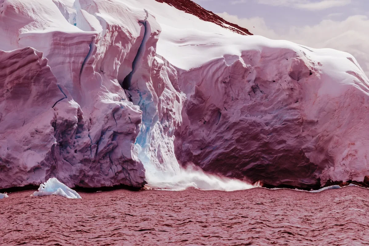 Antarctica Sees Unprecedented Heatwave, Foreshadowing Ice Vulnerability