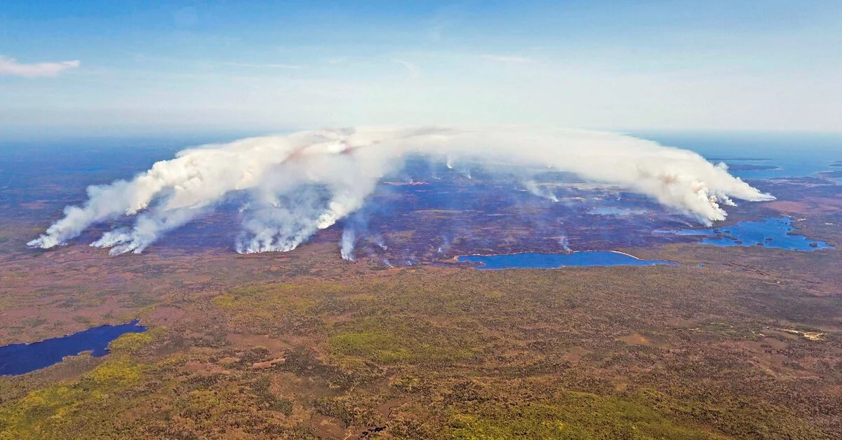 Coastal Quebec evacuates as wildfires spread in eastern Canada.