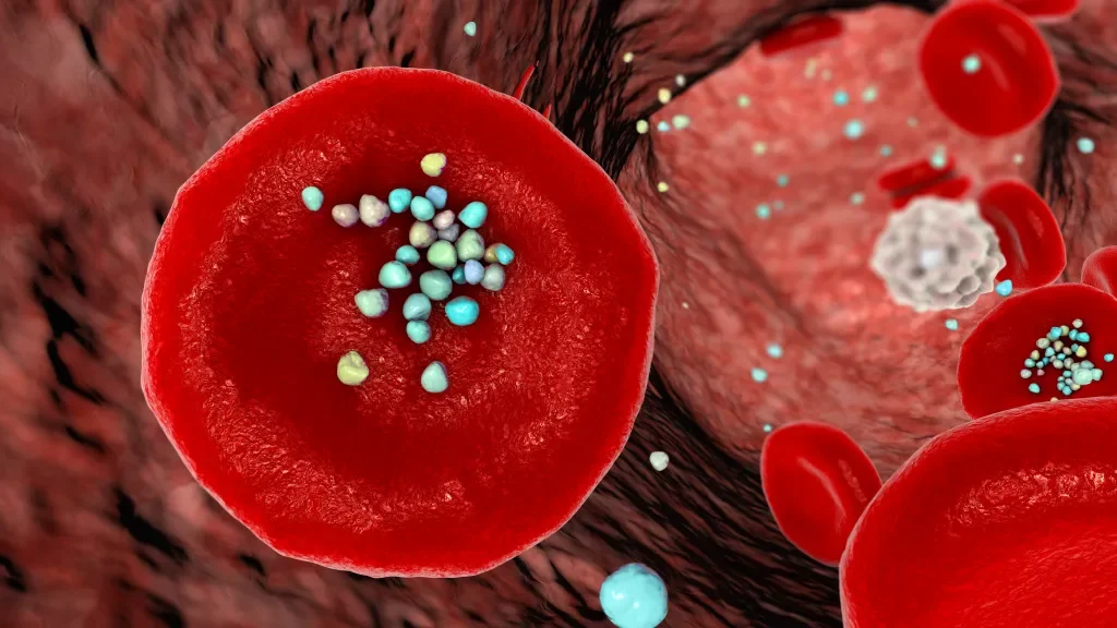 Microplastics in the Body: Uncertain Risks Prompt Calls for Precaution