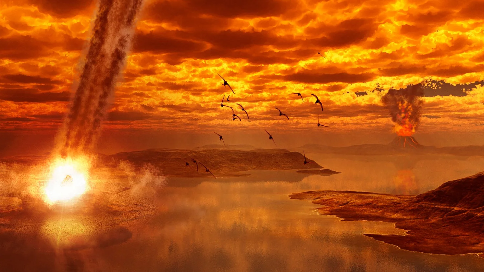Birds: the ultimate survivors, per paleontologist Steve Brusatte