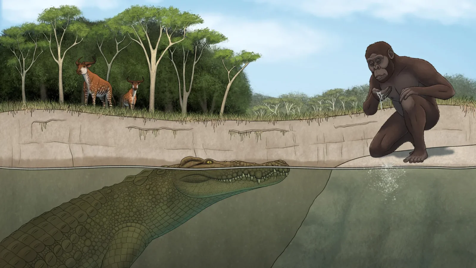 Lucy's Hunter: A Giant Pliocene Crocodile That Preyed on Early Humans