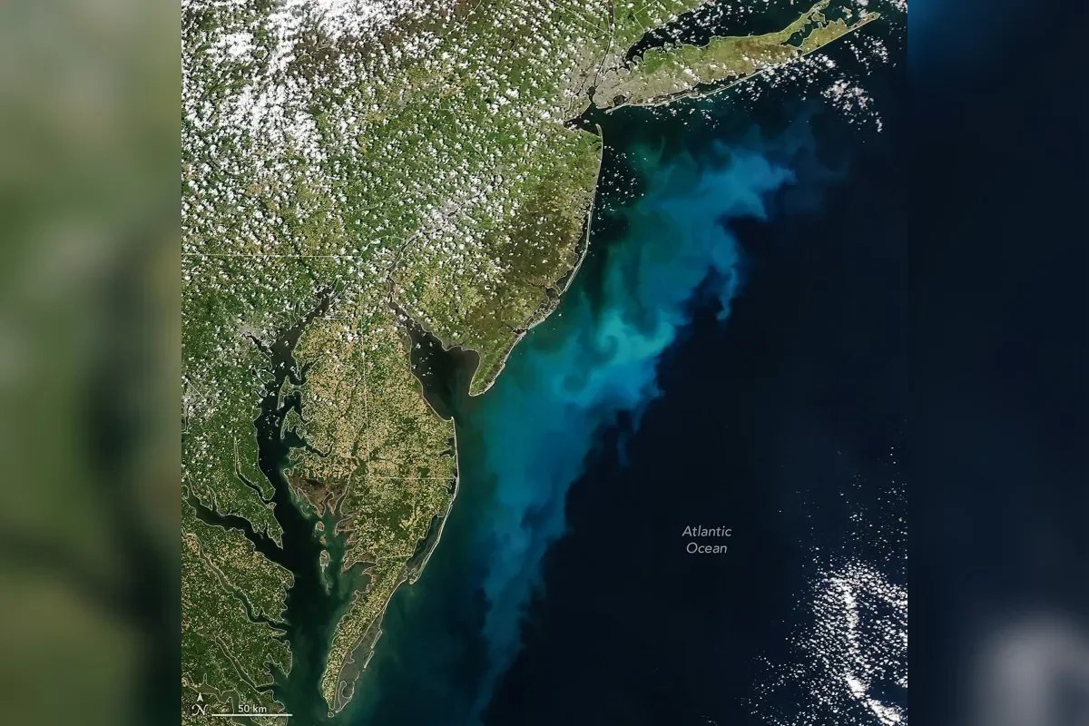 Color-Splashed Seas Signal Spring Phytoplankton Bloom, NASA Images Show