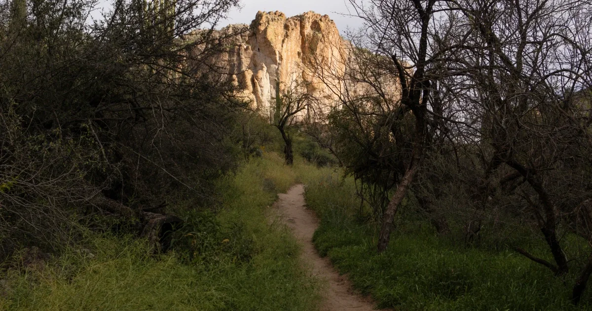 Eight-Year Forest Dweller in Arizona Faces Plea Over 1,000-Pound Trash Dump