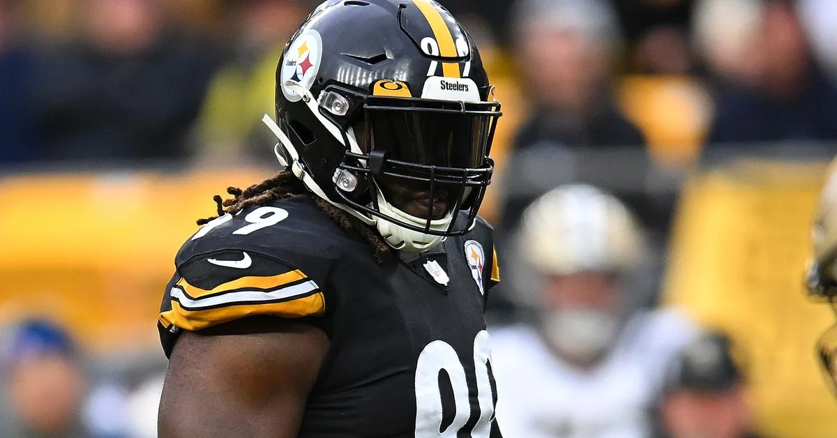 Steelers' Recent Signings Receive Mixed Reviews from Experts and Players Alike