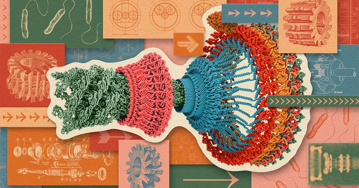 Protons on a Spin: The Proton Motive Force Powers Bacteria’s Tiny Engine