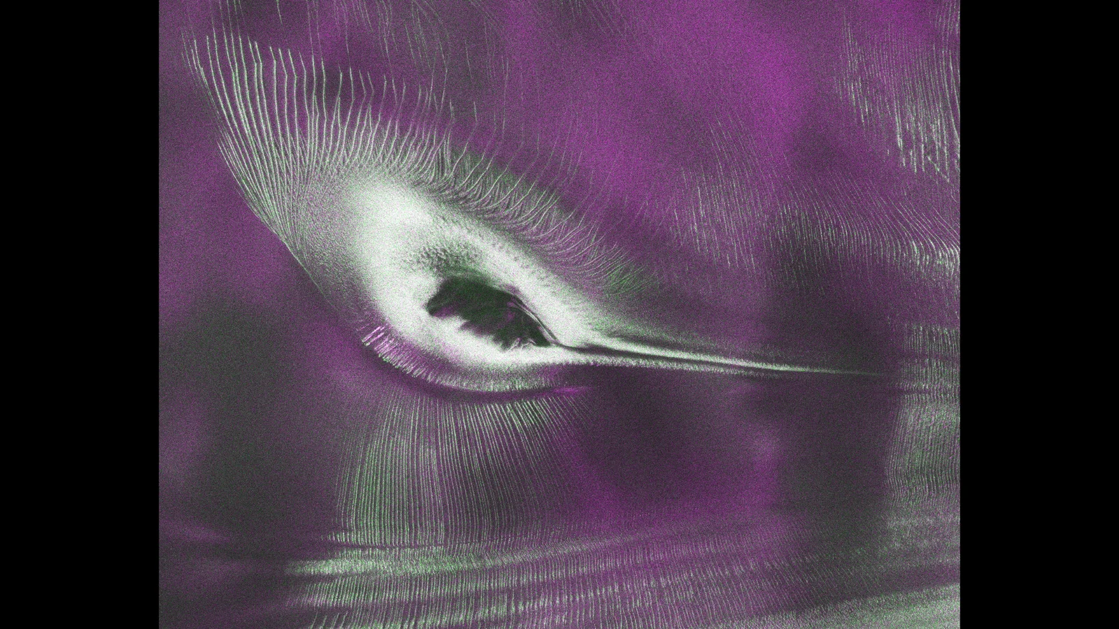 Antarctica’s “hummingbird” image: radar reveals glacier patterns on a mountain
