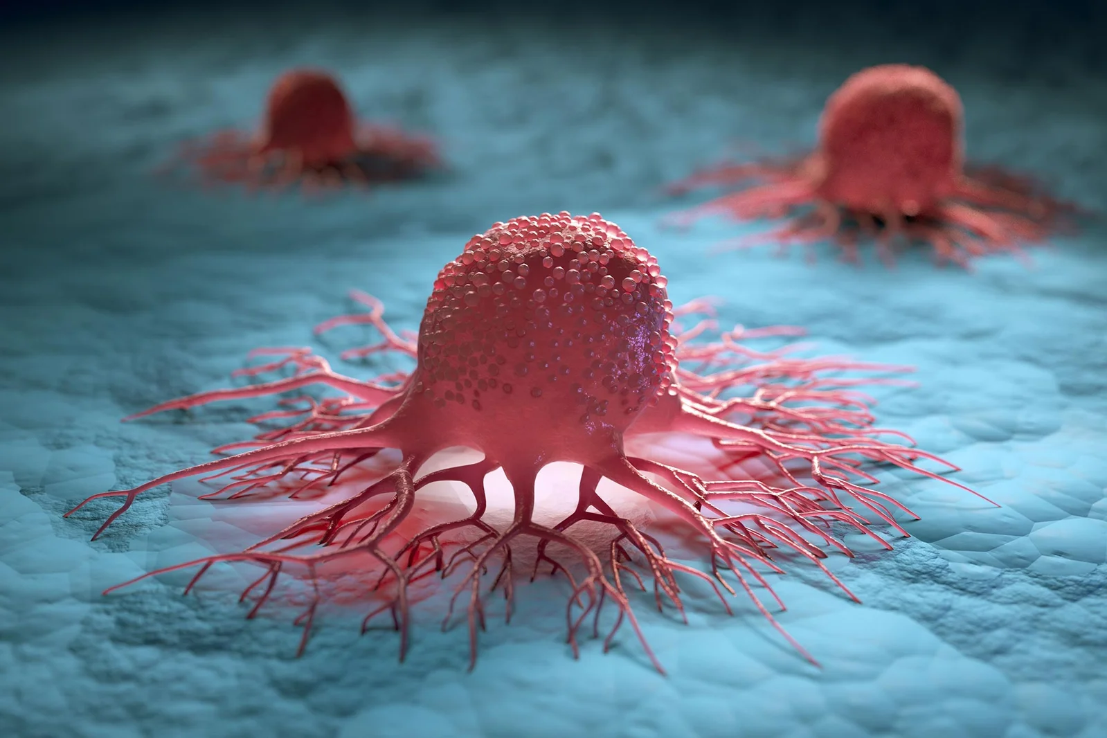 Melanoma Telomere Trick: Dual Mutations Drive Immortality