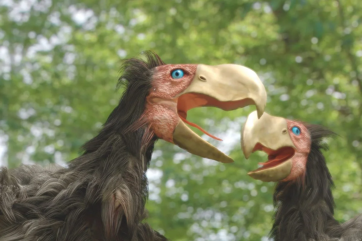 After the Dinosaurs: Giant Birds Dominate Land and Sea
