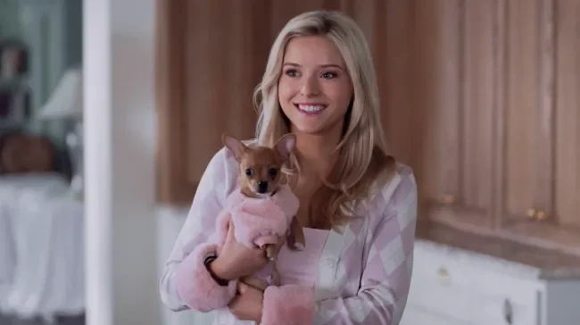 Elle Reboot Misses the Mark: Legally Blonde Prequel Falls Flat as Drama