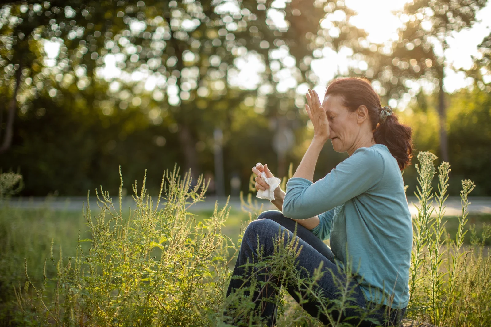 Fall allergy season peaks as ragweed pollen takes the stage