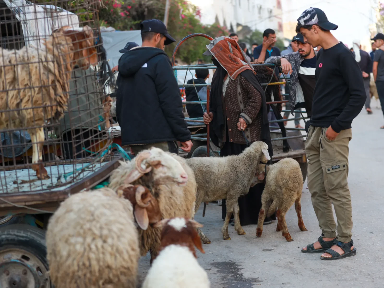 Gaza's Eid al-Adha: Hope Amid War as Livestock Vanishes