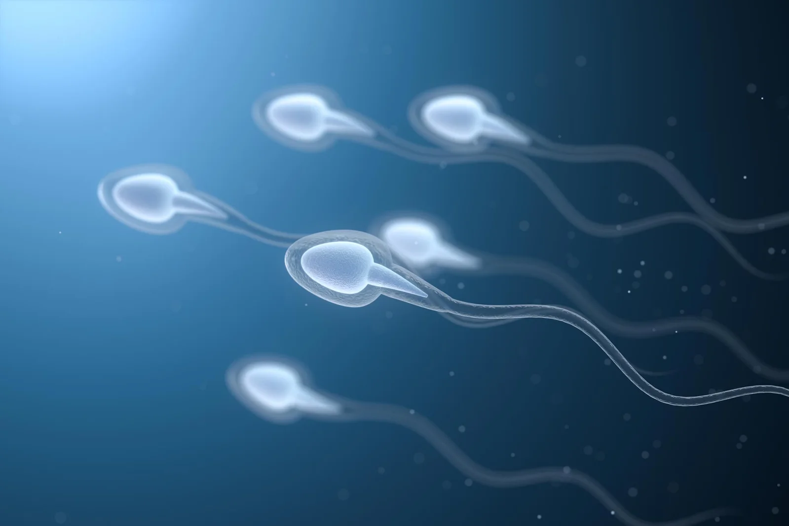 Sperm Harness Odd Elasticity to Swim Through Viscous Fluids