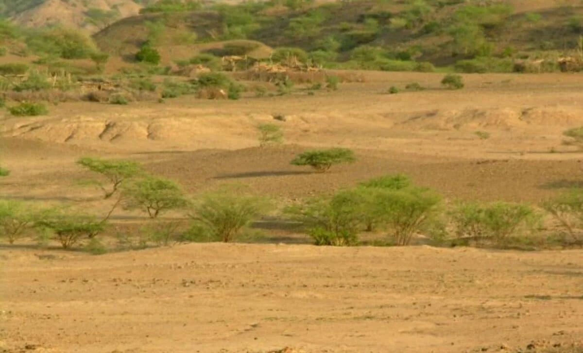100,000-Year-Old Ethiopian Site Reveals Repeated Early-Human Visits