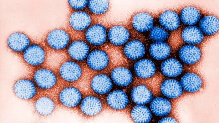 Rotavirus cases rise nationwide; what parents should know