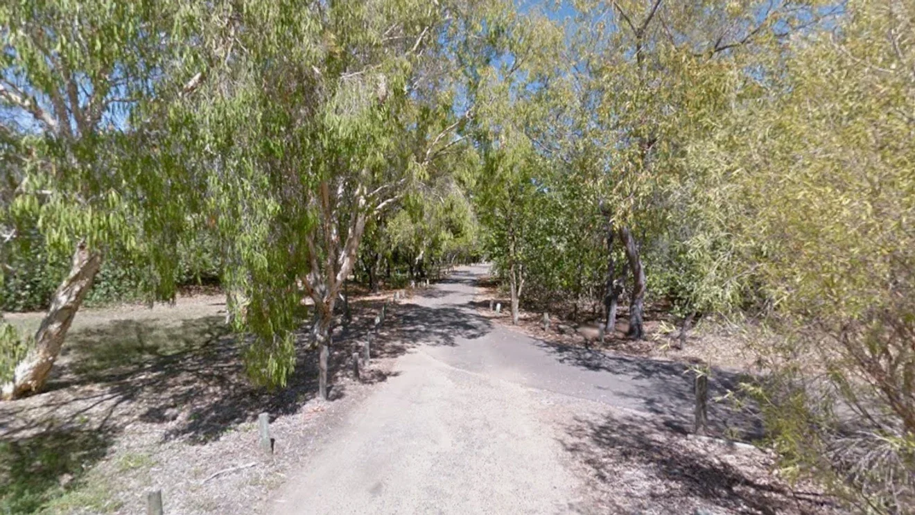 Teen bound to a tree and tortured in Townsville; 11 arrested in Australia case