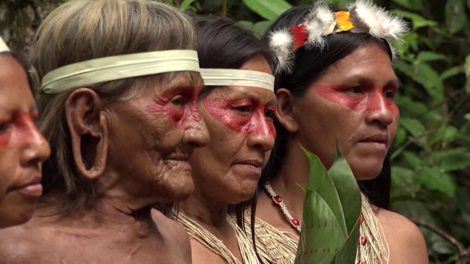 Ecuador's Landmark Decision: Oil Drilling Banned in Protected Amazon Lands