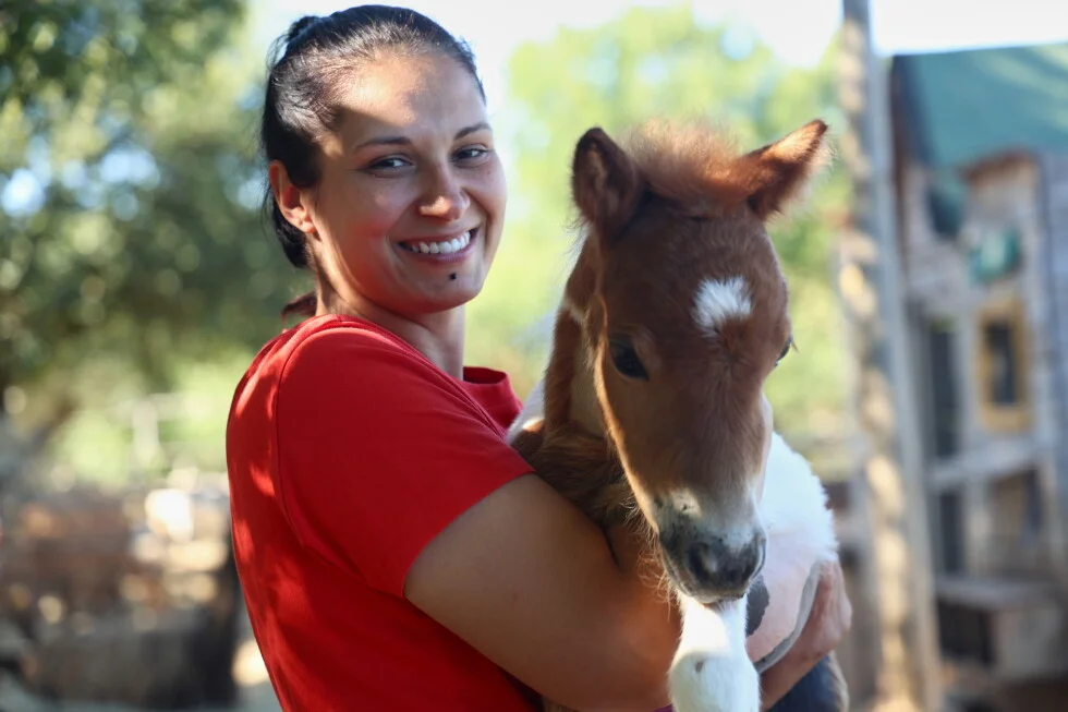 Newborn pony moves into a Rovinj apartment, neighbors unfazed