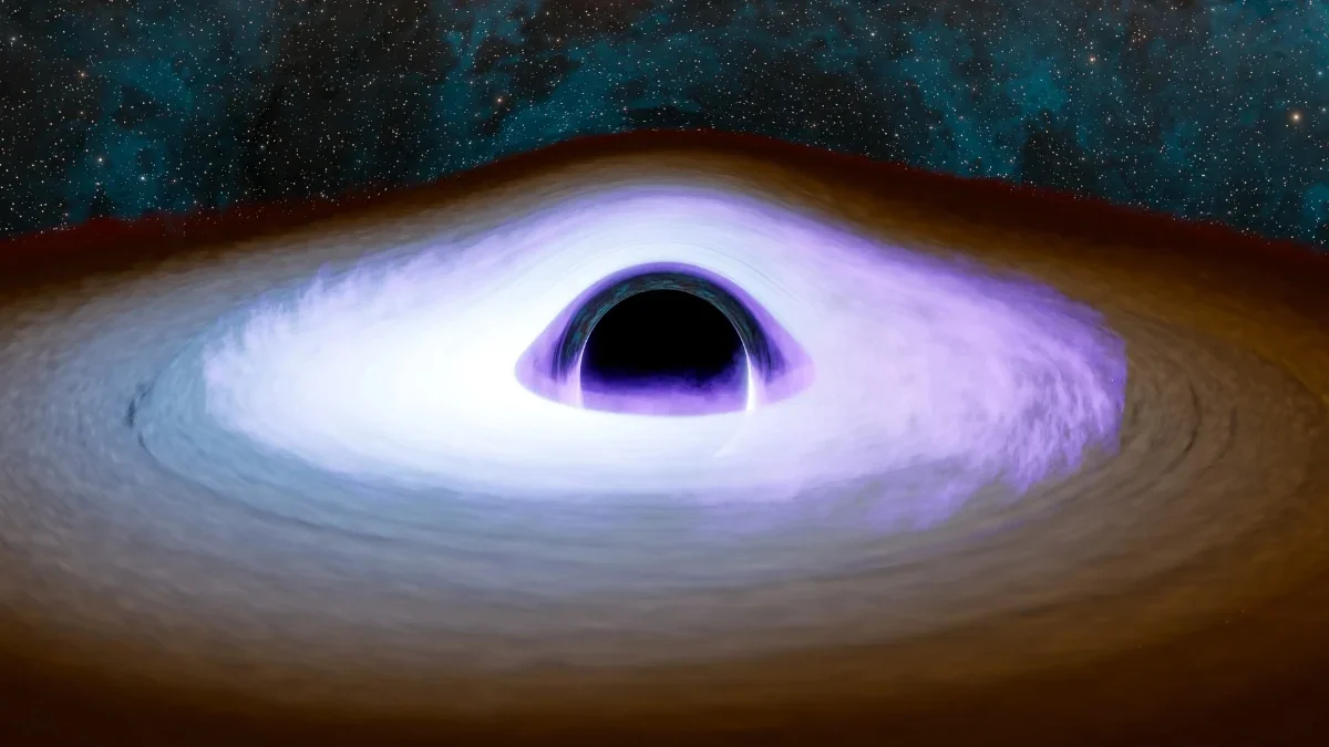 Relic Black Holes From a Pre-Big-Bang Universe Could Be Dark Matter