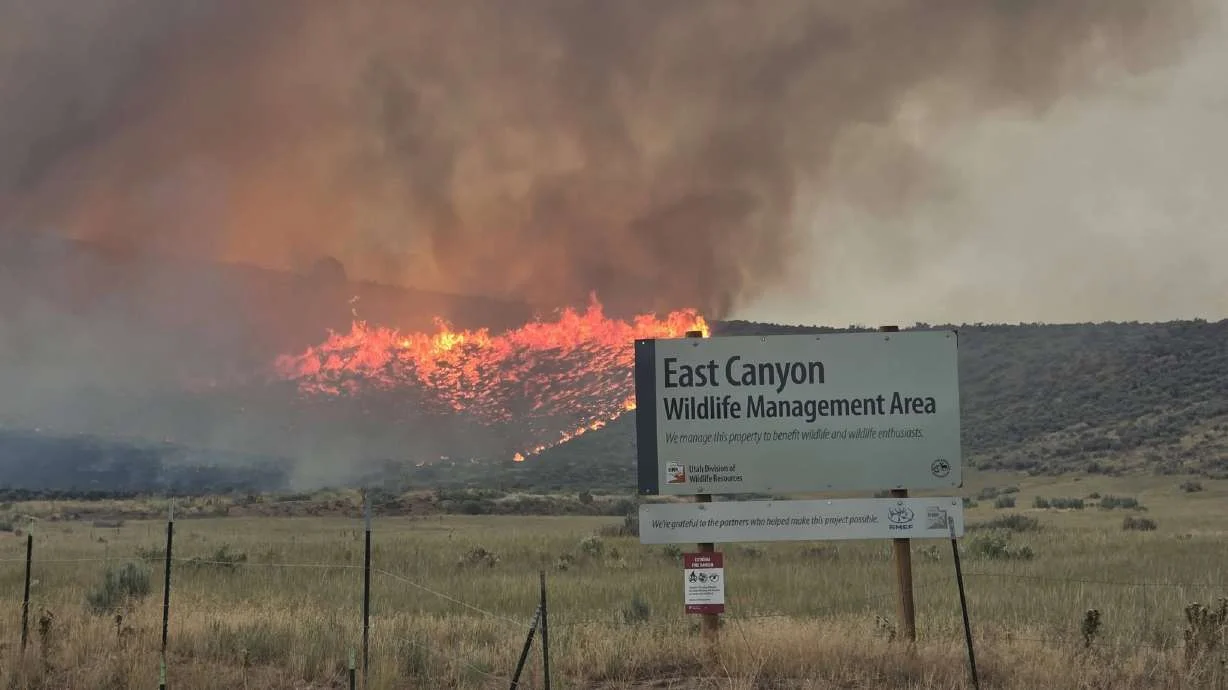 Henefer Evacuated as Rocky Canyon Fire Surges Toward Utah Town