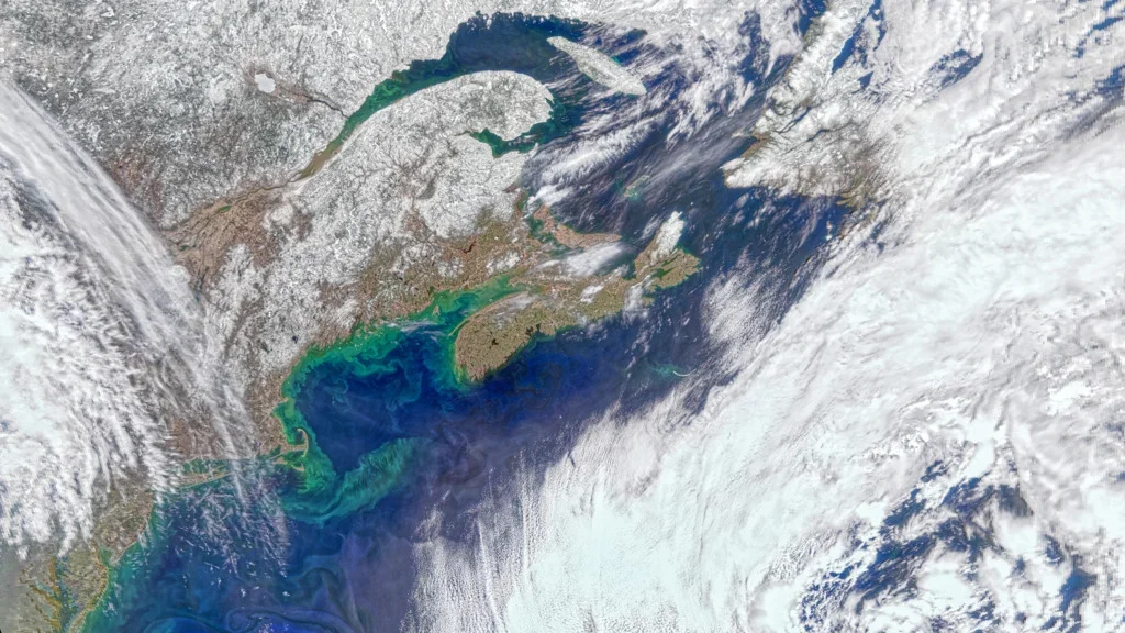 Phytoplankton: Earth's invisible oxygen factory rivaling forests