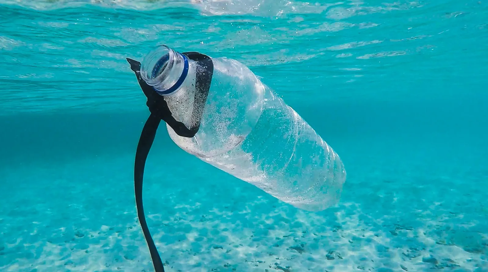 Living plastic with a built-in kill switch can self-destruct on command
