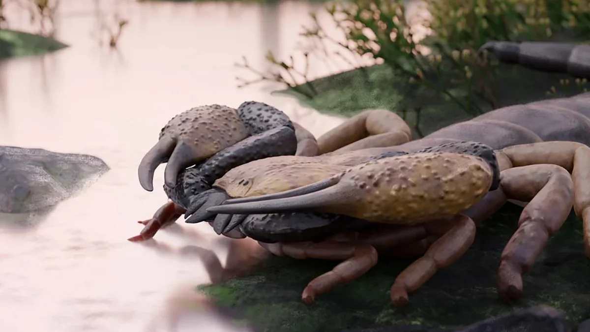 Ancient Giant Scorpion Praearcturus gigas: the Largest Known of Its Time