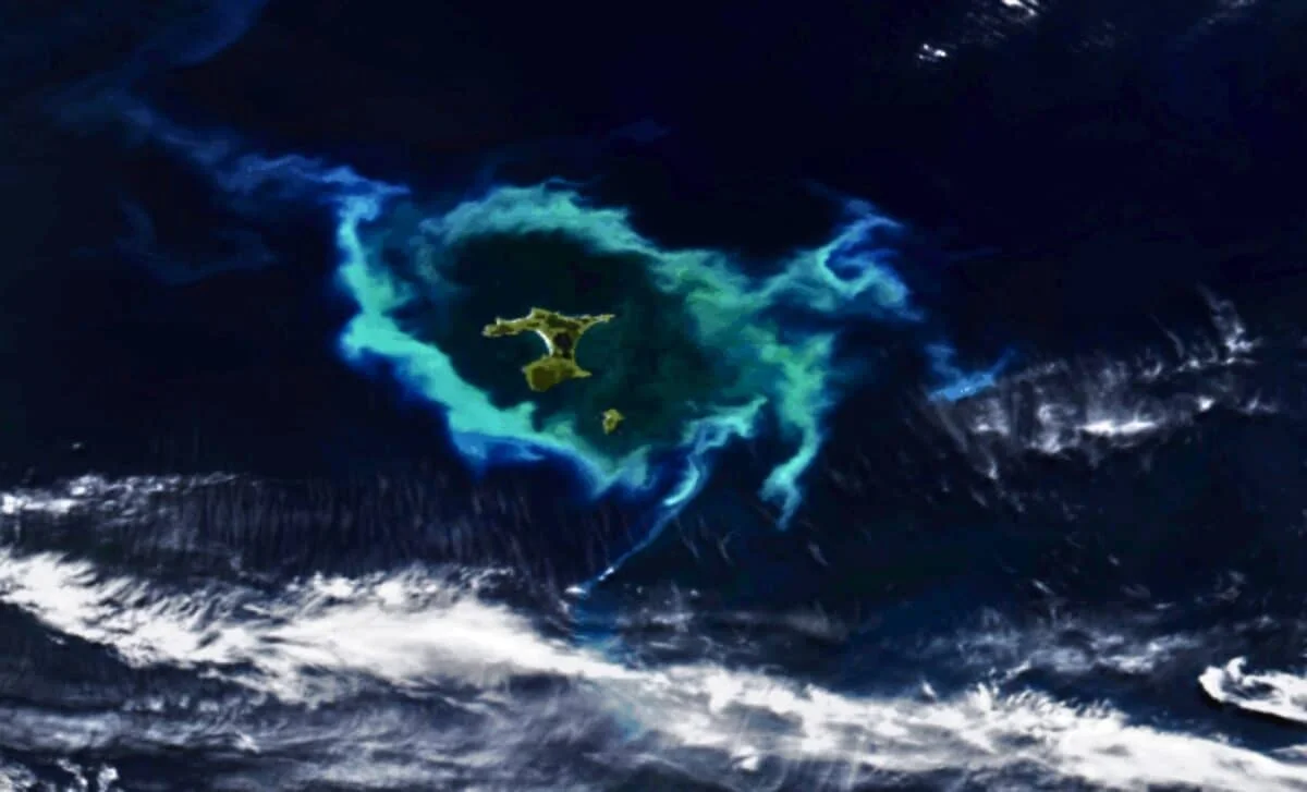 Giant Turquoise Ring of Phytoplankton Traced to Ocean Floor Topography Near Chatham Islands