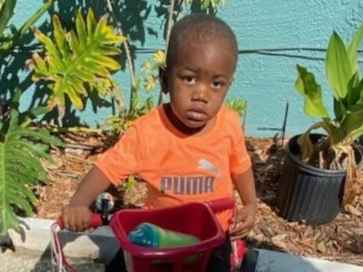 Tragic Discovery: Missing Florida Toddler Found Dead in Alligator's Mouth.
