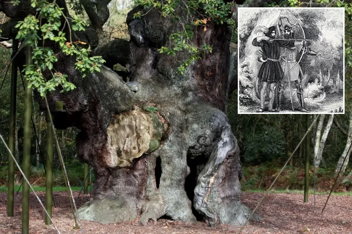 Sherwood’s 1,200-Year-Old Major Oak Dies