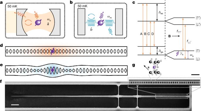 Acoustic Purcell boost pairs a diamond color center with a nanomechanical cavity