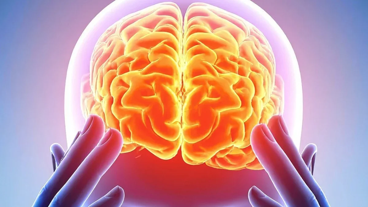 Common neural fingerprint linked to five psychedelics, study suggests