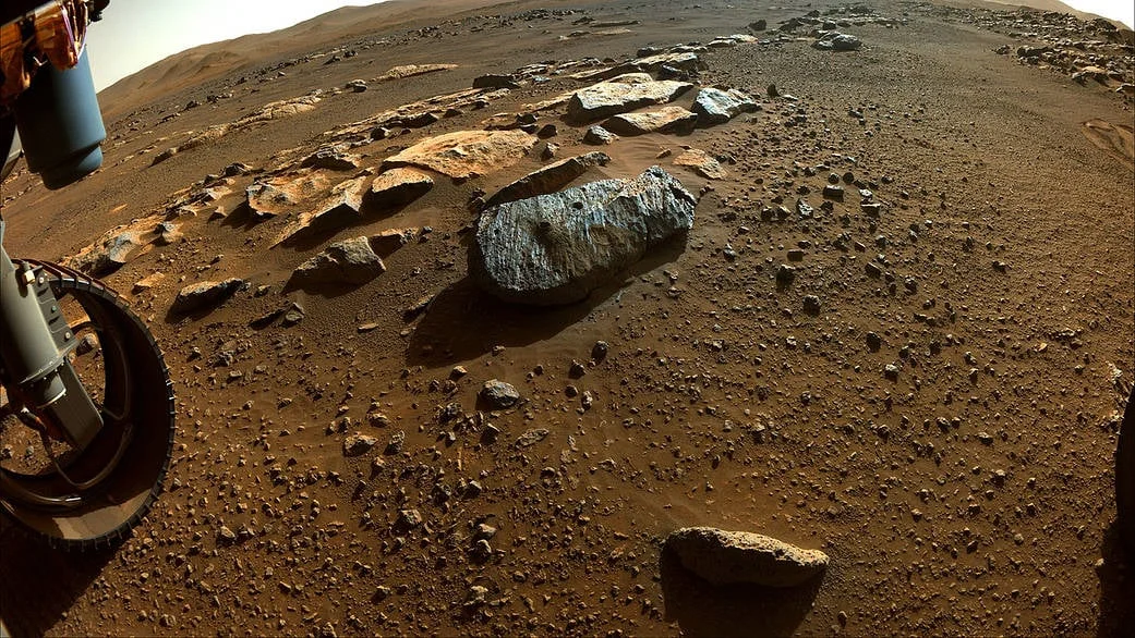 Mars dust hides a thyroid risk: perchlorate in soil could challenge future habitats