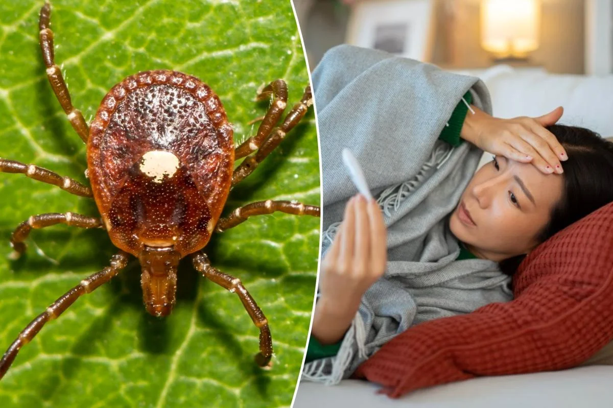 New York's First Bourbon Virus Case Highlights Tick-Borne Health Risk