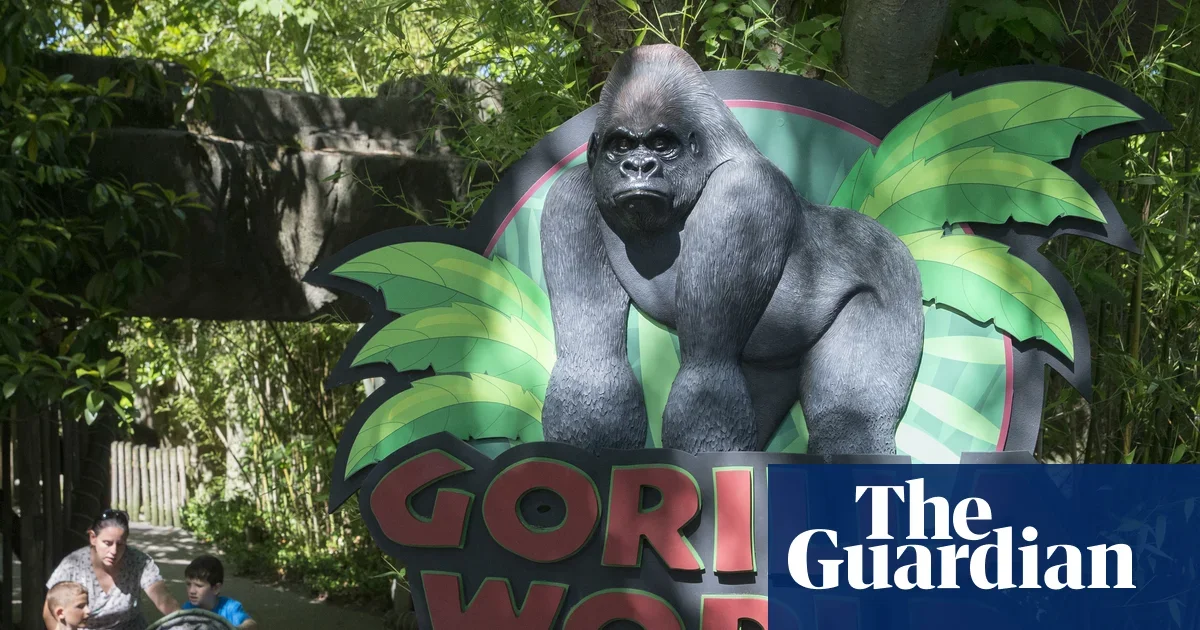 White House posts unusual Harambe tribute on 10th anniversary
