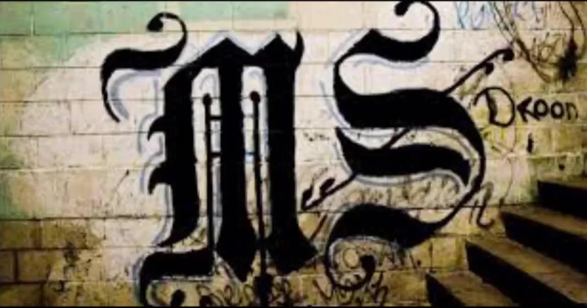 El Salvador conducts historic mass trial of hundreds of MS-13 suspects