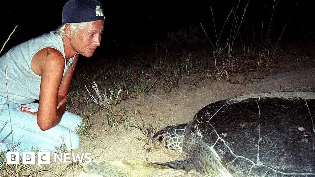 Lebanon Mourns Turtle Protector Mona Khalil After Israeli Strike