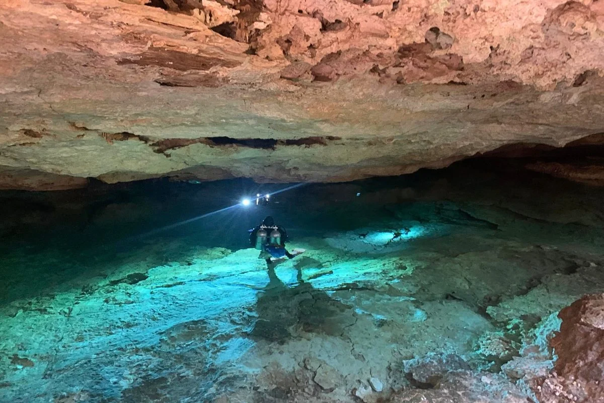 Beneath Yucatán cenotes, cave shrimps anchor a hidden underground food web