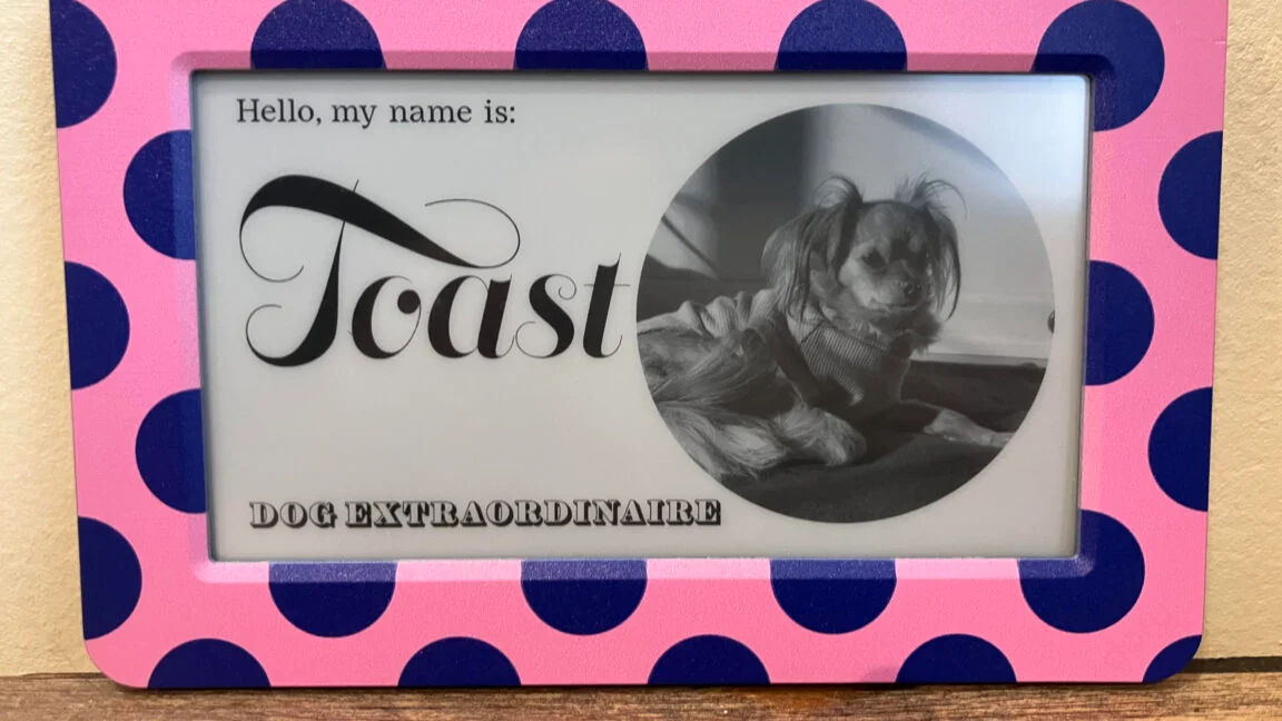 Dory Sign: A Quiet, Long‑Lasting E Ink Display That Depends on Its App