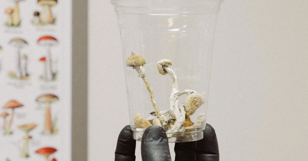 Oregon Embraces Legalization of Psychedelic Mushrooms