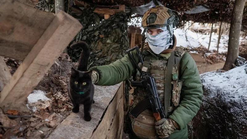 Drone rescue saves cat and dog from Ukraine frontline