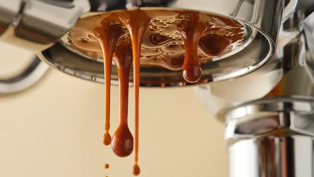 Revolutionary 'Beanless Coffee' Promises Environmental Sustainability and Forest Conservation